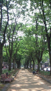 f0176526_7361283.jpg