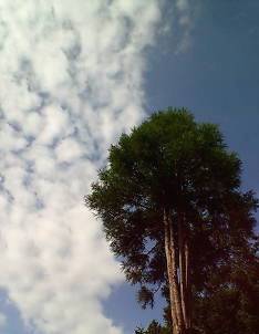 b0185232_636189.jpg