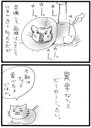 c0019433_11004.gif