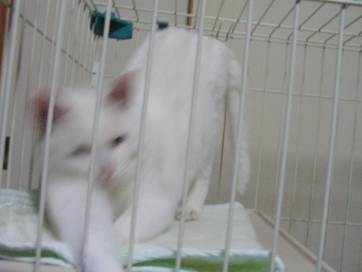 f0002833_13494624.jpg