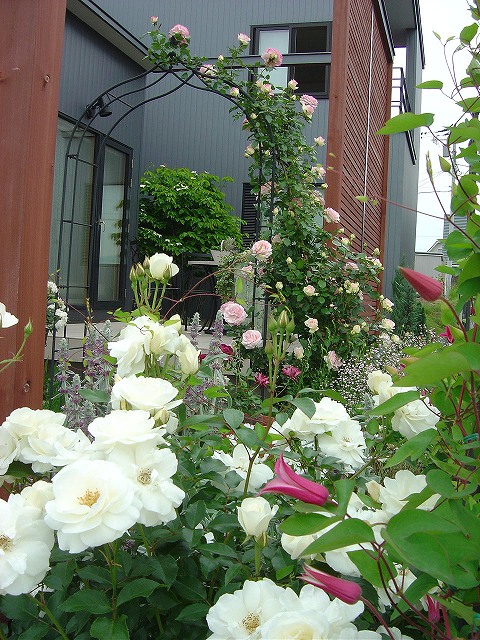 f0205733_22341313.jpg