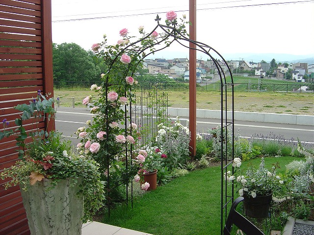 f0205733_22352275.jpg