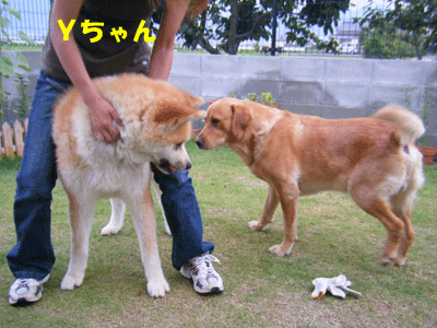 f0008935_15534225.gif