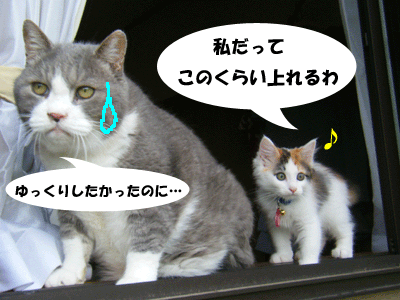 f0008935_16515184.gif