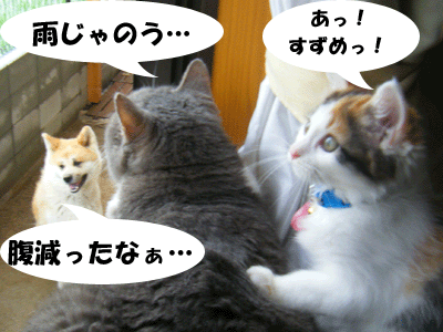 f0008935_1652070.gif
