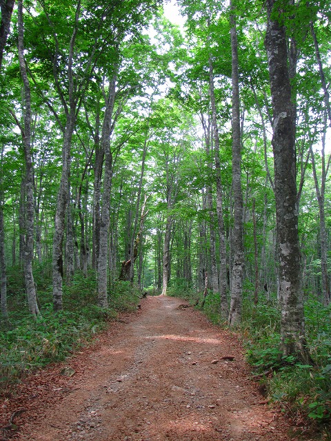 b0097836_2235153.jpg