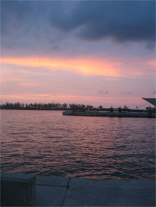 d0000937_1195776.jpg