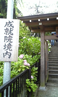 d0067640_23215675.jpg