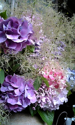 d0067640_23223488.jpg