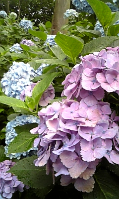 d0067640_23305937.jpg