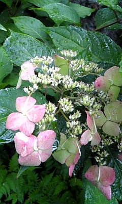 d0067640_23311571.jpg