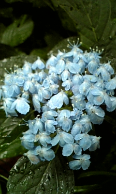 d0067640_23314228.jpg