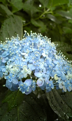 d0067640_23315432.jpg