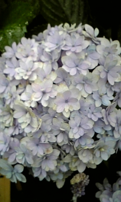 d0067640_23323379.jpg