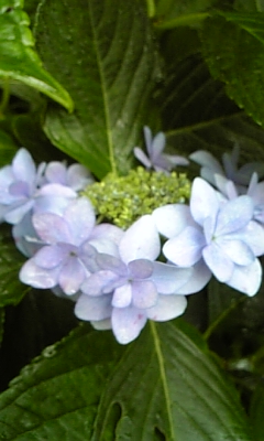 d0067640_23331063.jpg