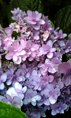 d0067640_23334355.jpg