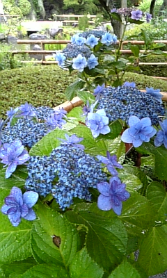 d0067640_23354886.jpg