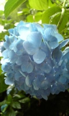 d0067640_23403321.jpg