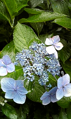 d0067640_23415251.jpg