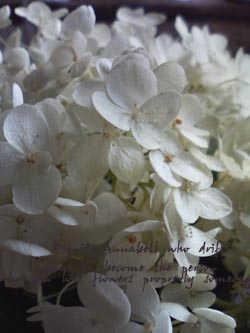 f0204440_2327133.jpg
