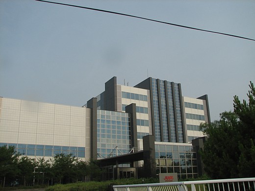 b0016043_333960.jpg
