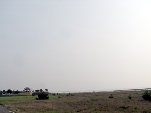 b0016043_3431512.jpg