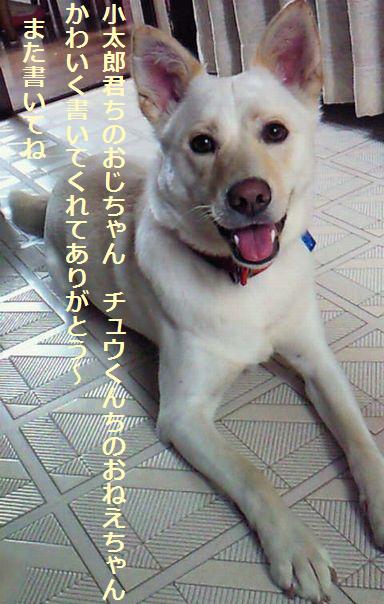 f0195543_2011188.jpg