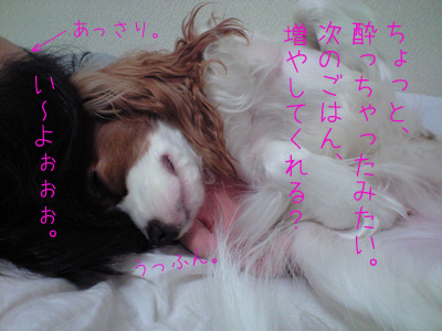 a0120944_12162290.jpg