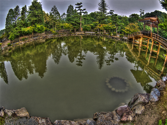 b0135347_2324869.jpg