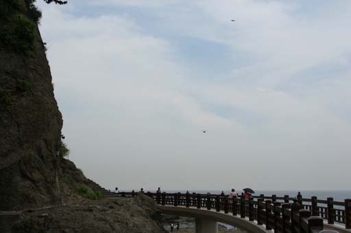 a0120949_751378.jpg