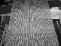 c0047449_19122237.jpg