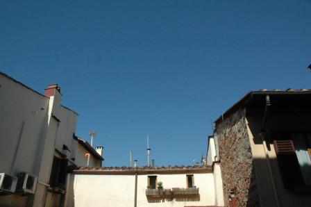 d0118050_1926249.jpg