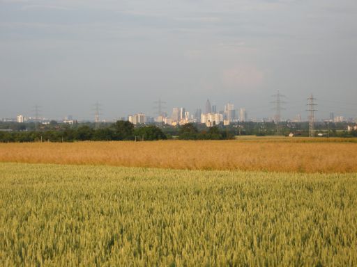 a0089754_1194617.jpg