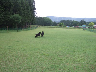 a0126555_2335346.jpg