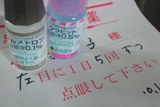 c0016056_239487.jpg