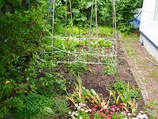 e0004756_20331626.jpg
