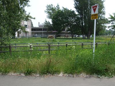f0149057_2347468.jpg