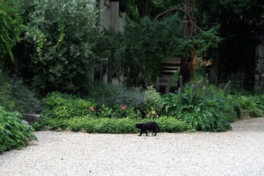 f0077159_1832918.jpg
