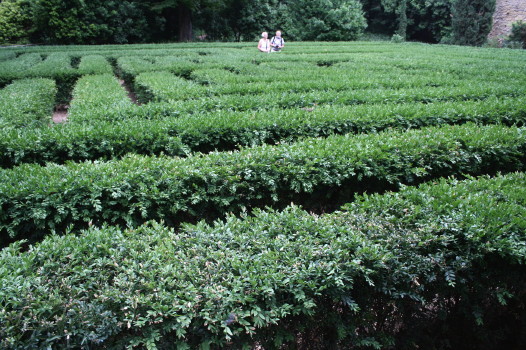 f0077159_18332016.jpg