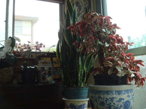c0108460_1625251.jpg