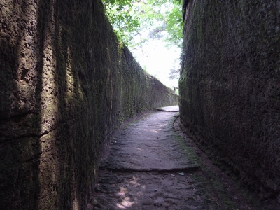 c0166668_23415133.jpg
