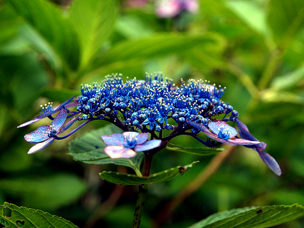 f0052269_18482356.jpg
