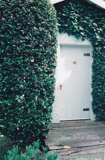 a0127070_017412.jpg