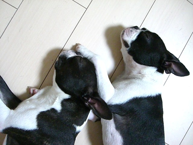 c0179376_23272340.jpg