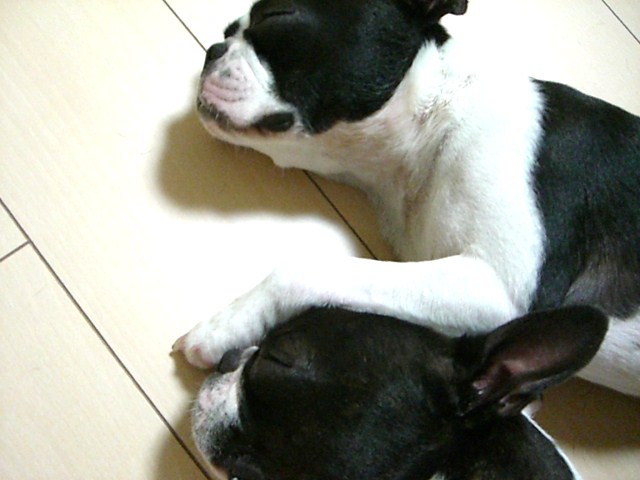 c0179376_23273670.jpg