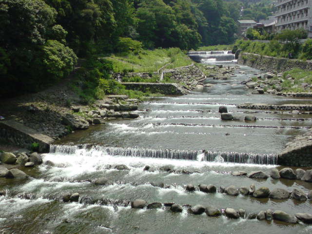 c0103278_20422245.jpg