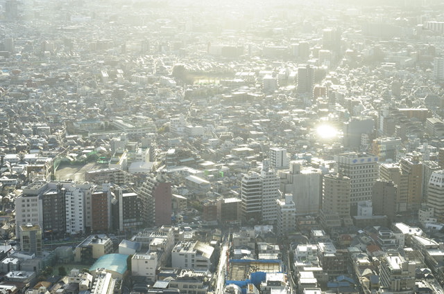 b0102780_328536.jpg