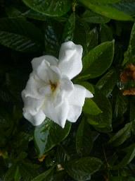 f0016981_2392939.jpg