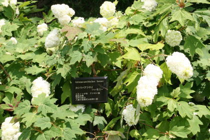 f0085889_20425146.jpg