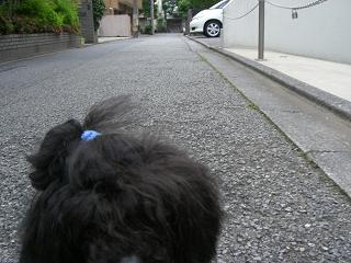 a0119591_23374251.jpg